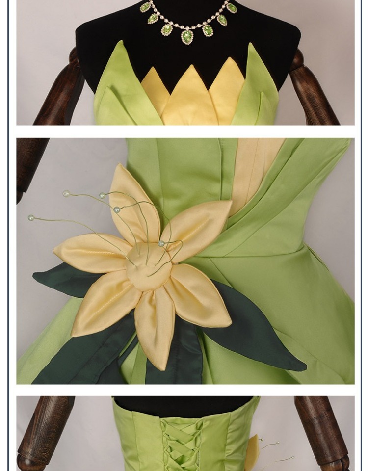 Princess Tiana Dress Cosplay C - Tech Accessories Women recension och pris