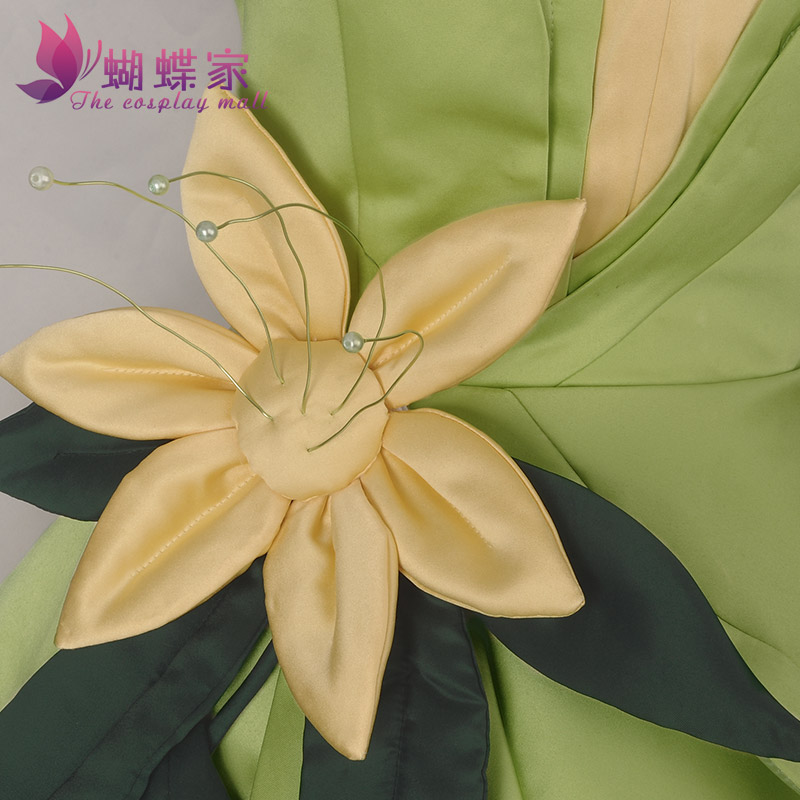 Princess Tiana Dress Cosplay C - Tech Accessories Women recension och pris